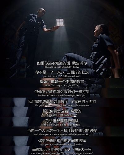 菜鸟老警