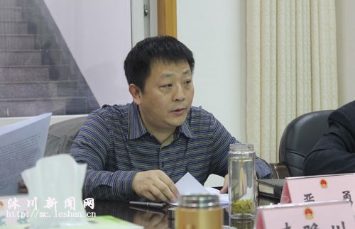 县委常委,常务副县长严勇汇报工作