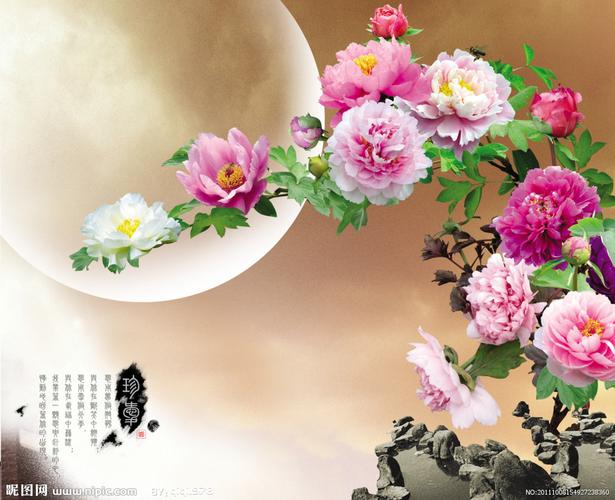 国色天香牡丹图图片