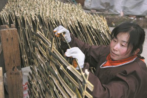 竹山县宝丰镇下坝村一组村民正加工竹制品