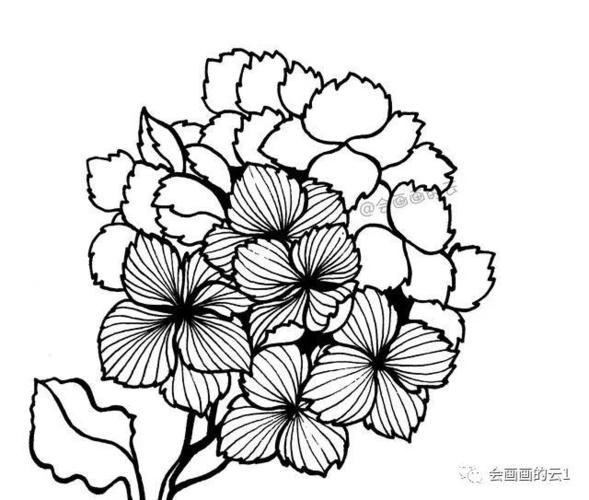 零基础的小白也可以画的简笔画教你用1支笔画一簇花