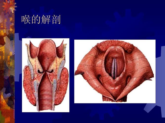 喉阻塞ppt