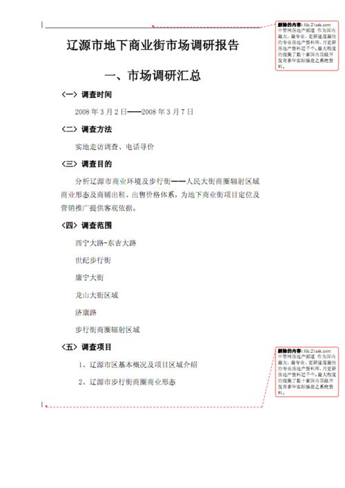 辽源市地下商业街市场调研报告.pdf 18页