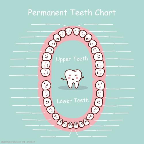 嘴巴卡通可爱小牙齿扁平画矢量素材