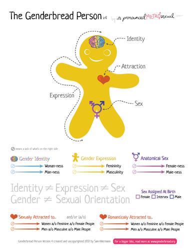 the genderbread person version 4