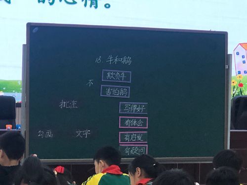 唐晓红工作室活动展示课 《牛和鹅》执教者 吴优