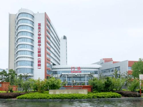 复旦大学附属华山医院 神经外科简介