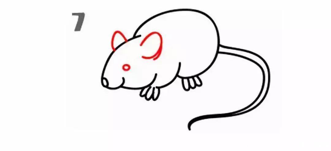 几种老鼠简笔画教程图片