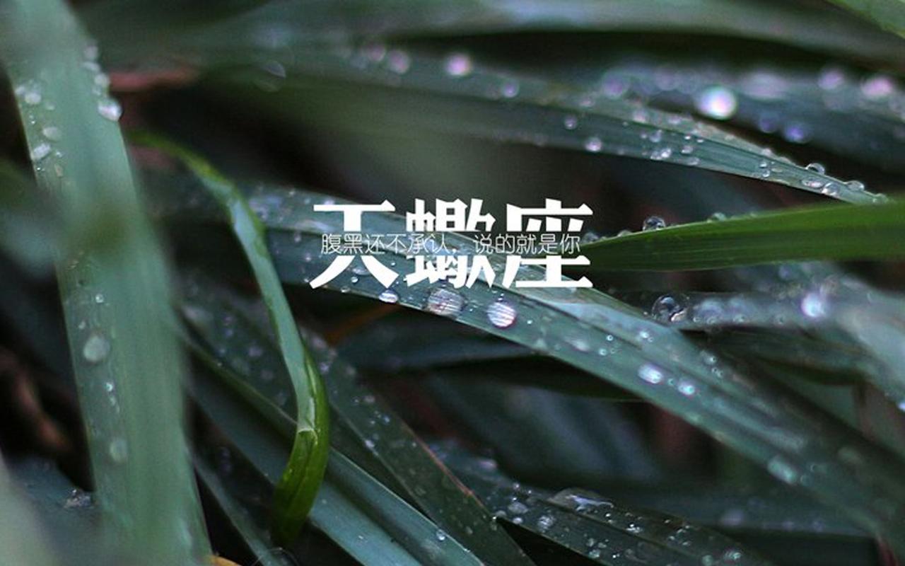 电脑壁纸 动漫卡通 生肖星座 属于天蝎座的一句话