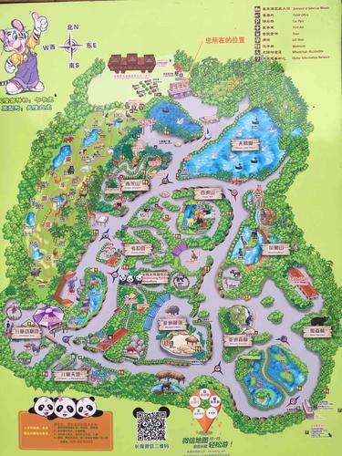 珠海长隆海洋王国,广州长隆野生动物园——孩子们的欢乐世界