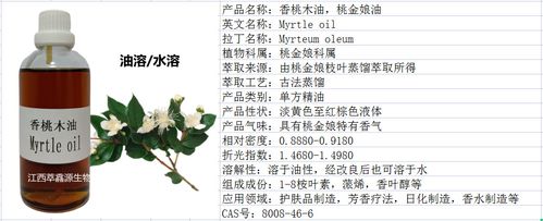 萃馫源供蒸馏枝叶精油香桃木精油桃金娘单方精油香薰日化原料精油