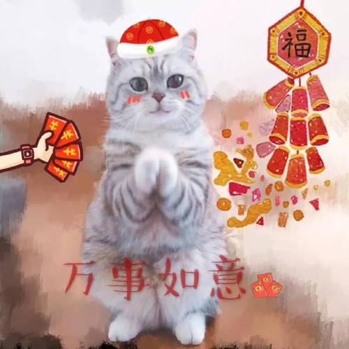 (可爱的猫咪)为了讨红包,猫咪们也是花样百出,"想年年有鱼吗?