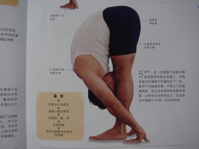 艾杨格推荐的23个瑜伽经典体式(收藏哦)