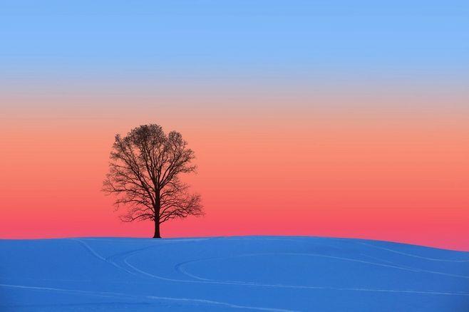 给你一片暖色调的风景