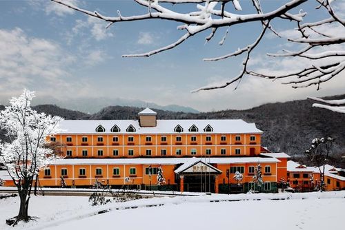 【西岭雪山滑雪,住景区枫叶酒店店,24小时地暖】西岭雪山枫叶酒店豪华