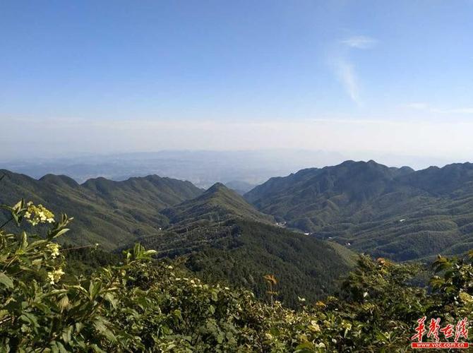 涟源龙山寻"药王"足迹