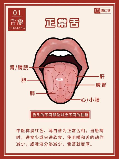 从舌苔看健康,跟中医学舌诊,这6种需要注意_舌苔_中医