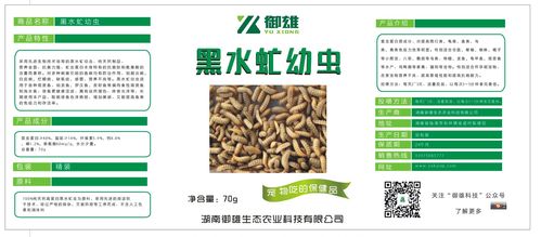 黑水虻幼虫干虫