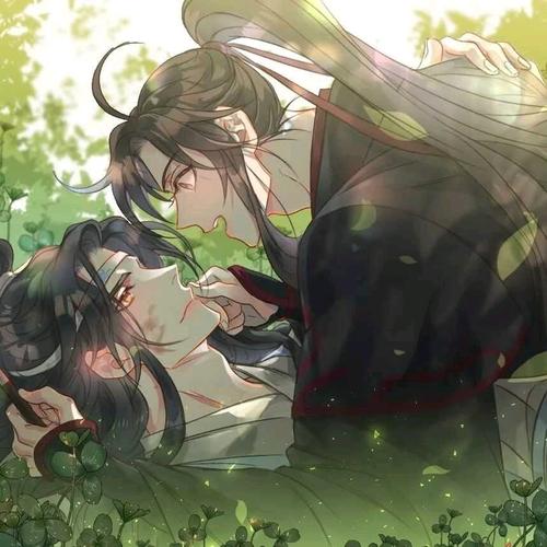 《魔道祖师》超可爱唯美忘羡情头