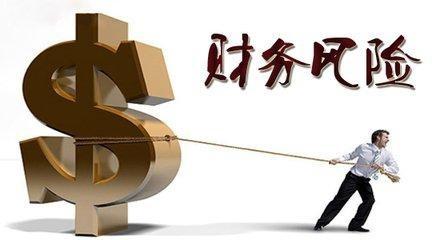 财务有风险,控制防范需谨慎!--财务治理,企业财务分析
