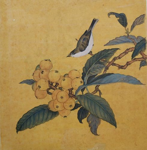 工笔花鸟,临南宋林椿《枇杷山鸟图》