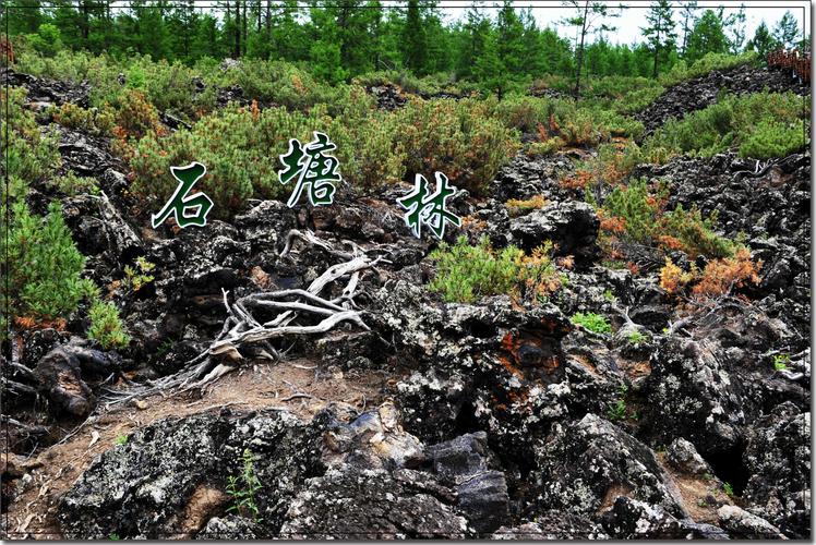 届冰雪节 四月九日登龙山 五月一九日赏梨花 五月二十三日琵岩山霞光