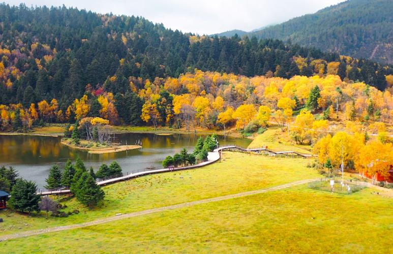 金秋十月航拍云南普达措国家公园美如画