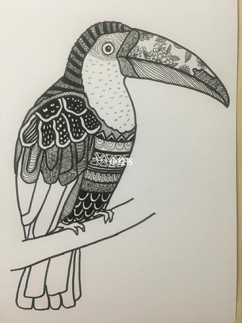 线描 鸟_绘画_文化_绘画