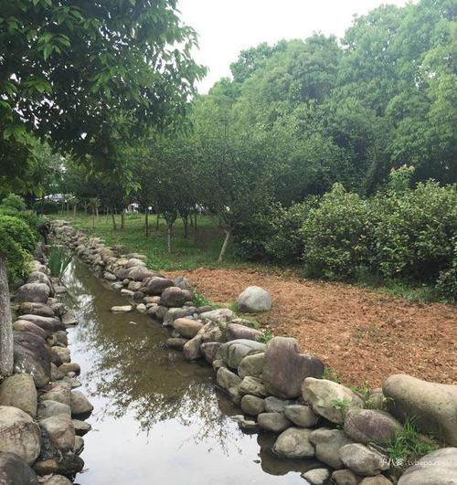 香樟公园