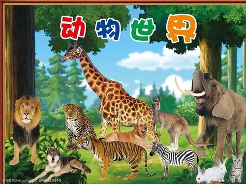 动物世界图片