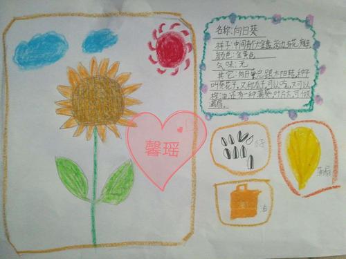 "我的植物朋友"记录卡