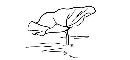 有一个很经典的问题 不知道多少股友听过: 有一个池塘里有一片荷叶