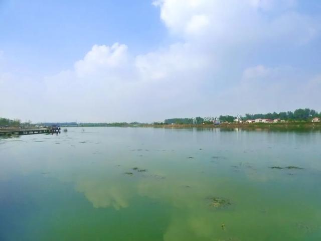 上蔡杜诗湖公园雨后闪亮登场