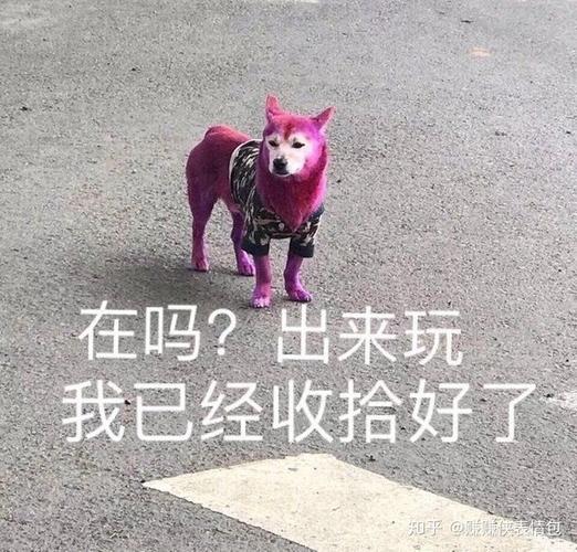 表情包怼人你也不赖