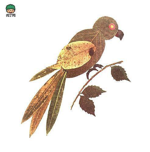 树叶创意-花瓣网|陪你做生活的设计师 | 树叶拼贴画的