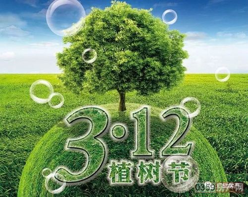 金海湾呼吁大家多植树造林,保护环境,从身边小事