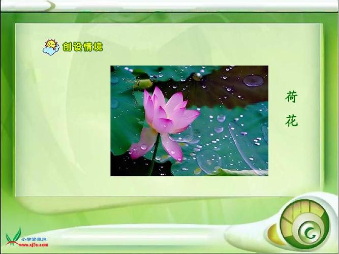 荷花课件(人教版语文三年级下册)ppt
