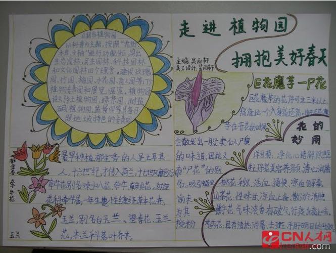 植物园手抄报