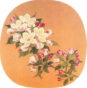 虽然古代很多花都冠以"海棠"之名,但其实并非同一品种.我