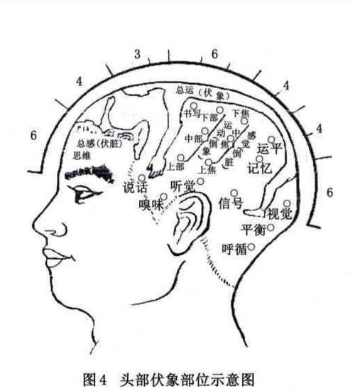 三家头皮针专长的临床体会图片版