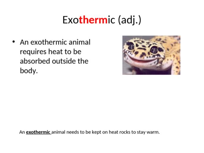 endothermic (adj.) exothermic (adj.) therm (n.) thermal (adj.