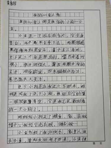 作文题目:《我的心爱之物》学生作品