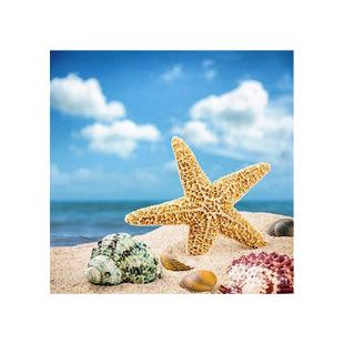 新款diy钻石画 海星沙滩 2.8圆满钻绣 客厅装饰 图片定做量大从优