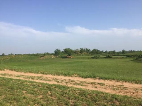 整体出租农场:地址大荔县羌白镇八鱼乡黄甫村.50余亩沙滩地.