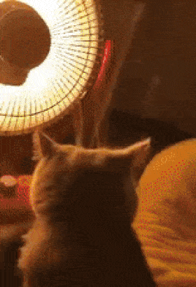 德绒让每一寸肌肤都被温柔包裹,这样掉进云层般的极致享受,值得你尝试