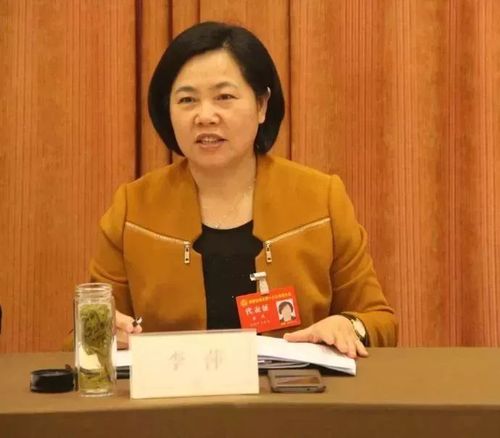 李萍淮南市妇联党组书记,主席刘苹主席所作的报告,字里行间凸显深邃的