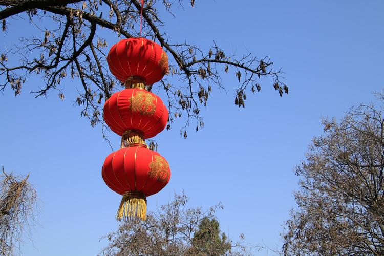 最美千佛山风景,红红火火迎新春.