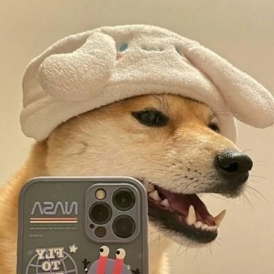 柴犬自拍头像很喜欢!求高手帮忙p成手持mate30pro谢!