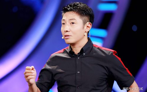 撒贝宁,被马云刺激后开启"芳心纵火犯"之旅,打破央视古板印象