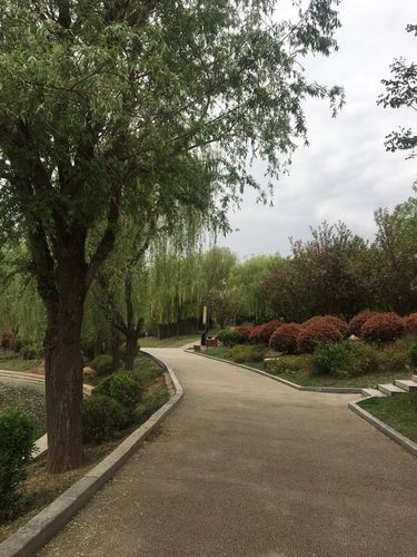 西安南郊最喜欢的公园-清凉山公园.